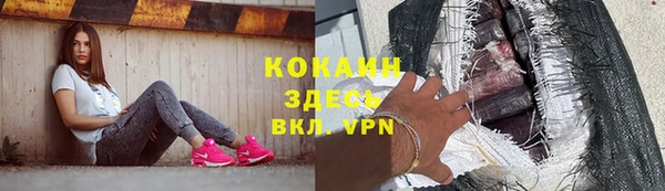 кокс Арсеньев