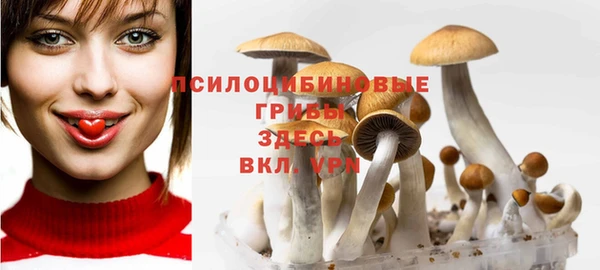 кокс Арсеньев