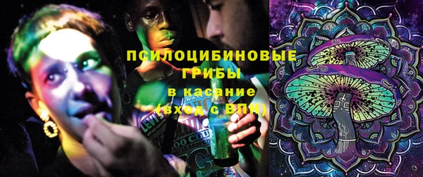 кокс Арсеньев