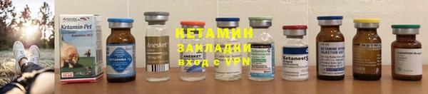 кокс Арсеньев