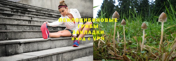 кокс Арсеньев